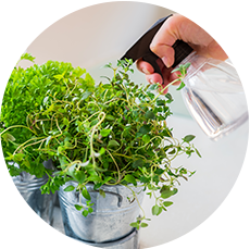 浄水型だからできるちょっぴり贅沢な水の使い方 