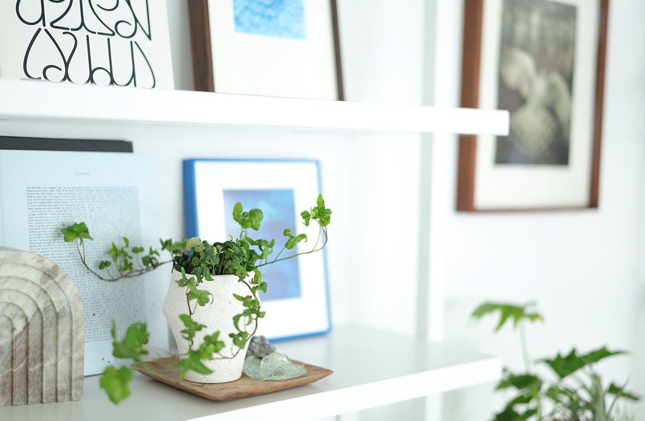 miniの使用例写真