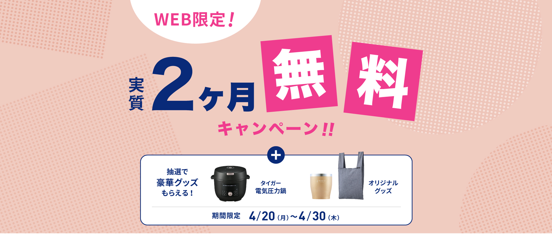 新規お申し込みキャンペーン