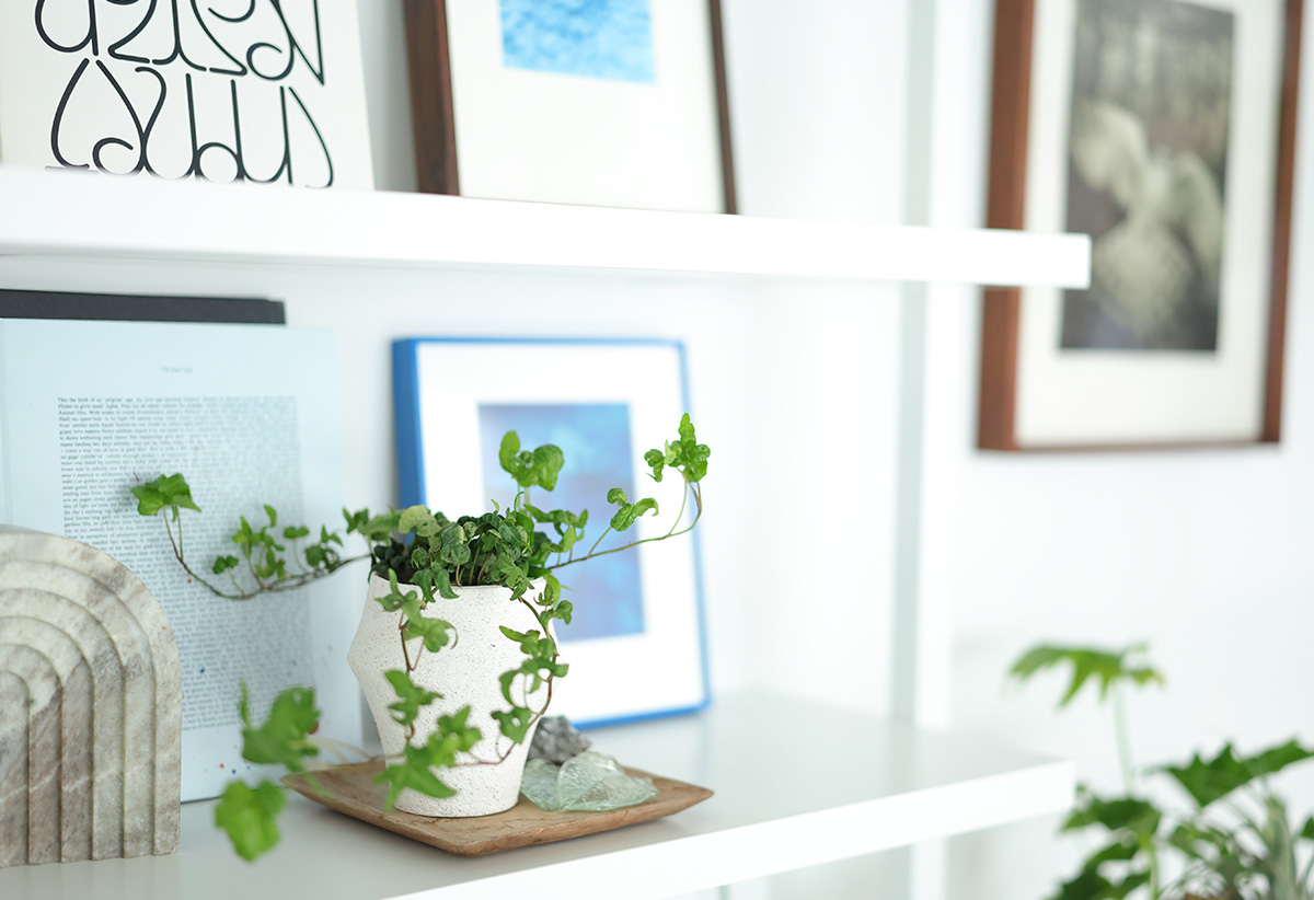 [本体]エブリィフレシャスmini 浄水型ウォーターサーバー　卓上型　ホワイト 浄水】卓上型の小さなウォーターサーバーevery frecious mini